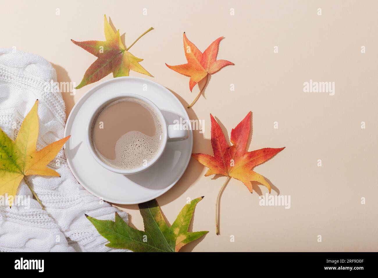 Appartamento autunnale. Tazza di cacao o caffè, maglione bianco donna, foglie autunnali su sfondo neutro. Vista dall'alto, spazio di copia. Foto Stock