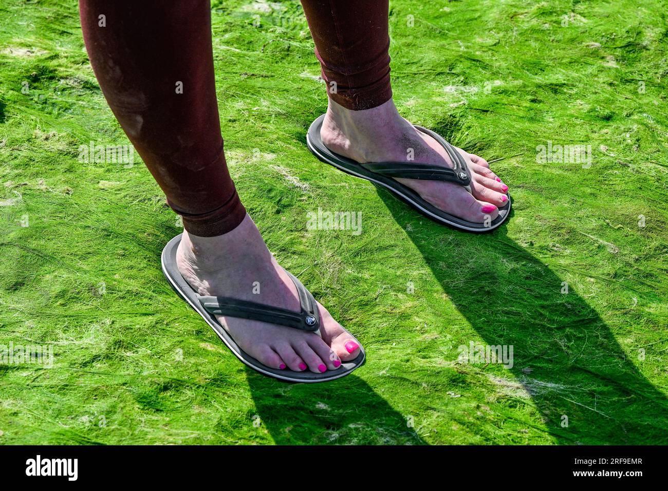 piedi da donna con sandali infradito su alghe e spiaggia coperta di alghe Foto Stock