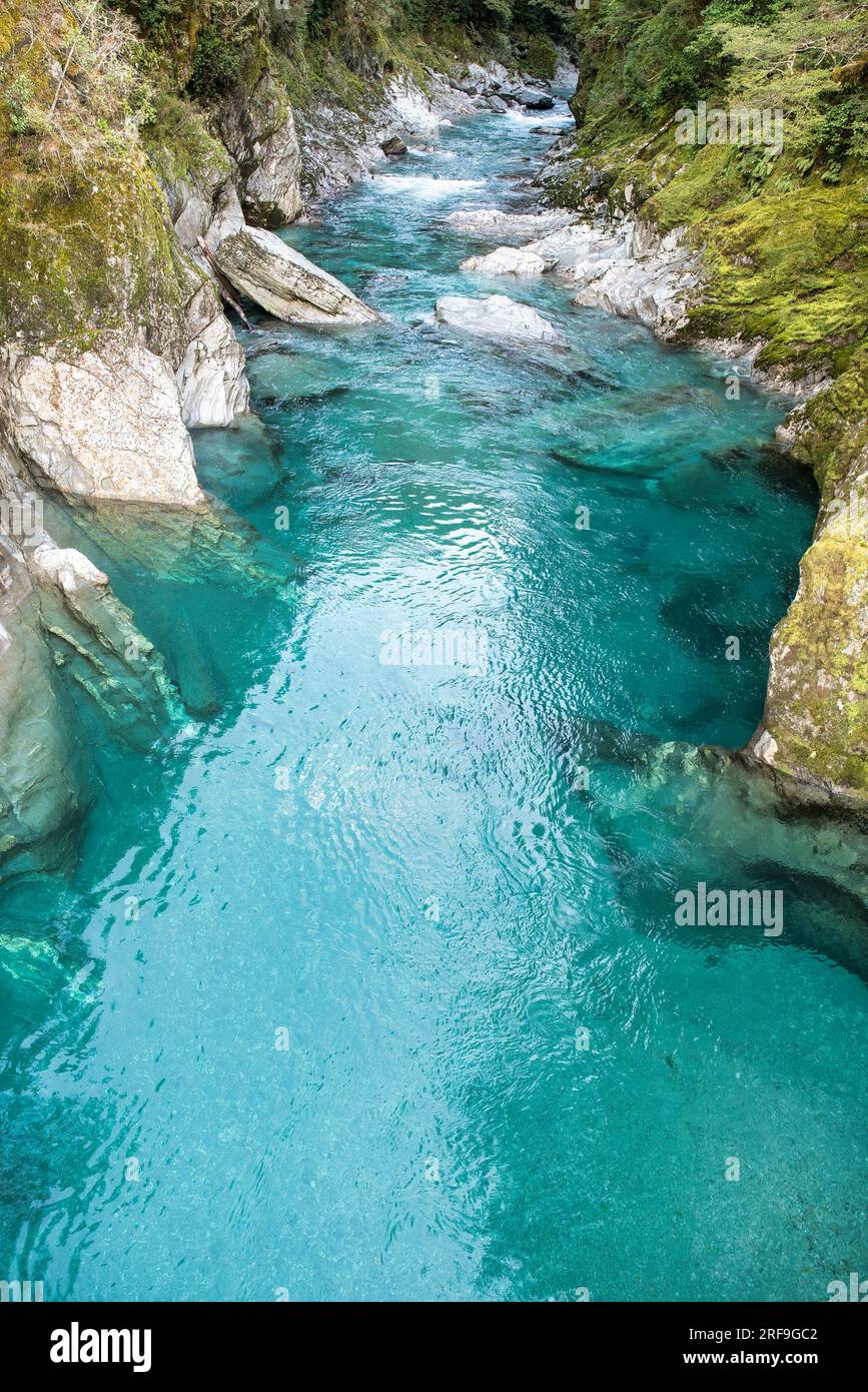 Annidate tra una foresta matura di faggi e podocarpe, queste piscine di acqua profonda e limpida che fluisce nel fiume Makarora offrono un momento di tranquillità. Questo Foto Stock
