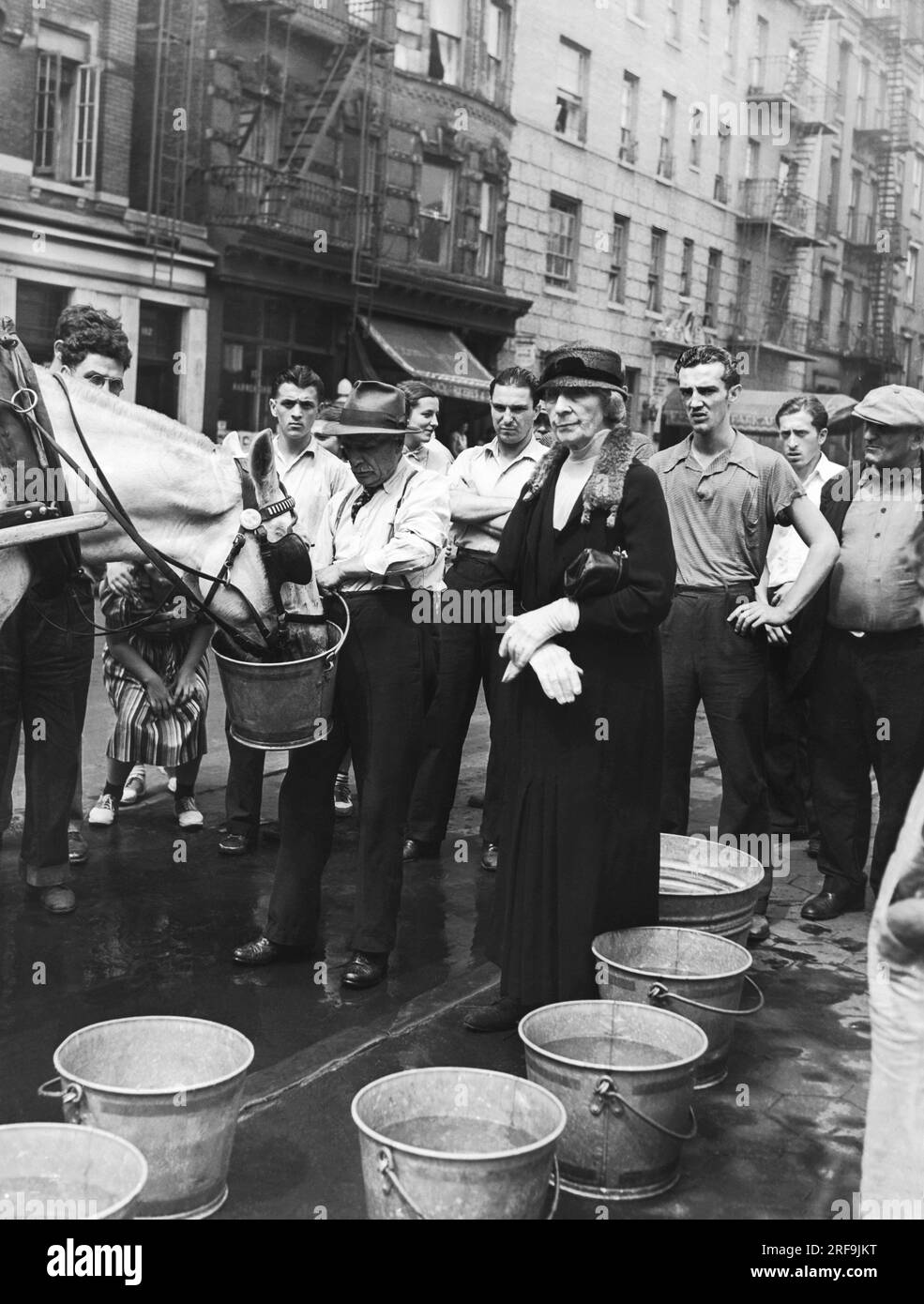 New York, New York: 28 luglio 1938 Una nuova stazione di irrigazione per cavalli aprì a E. 7th Street e Avenue B. Foto Stock