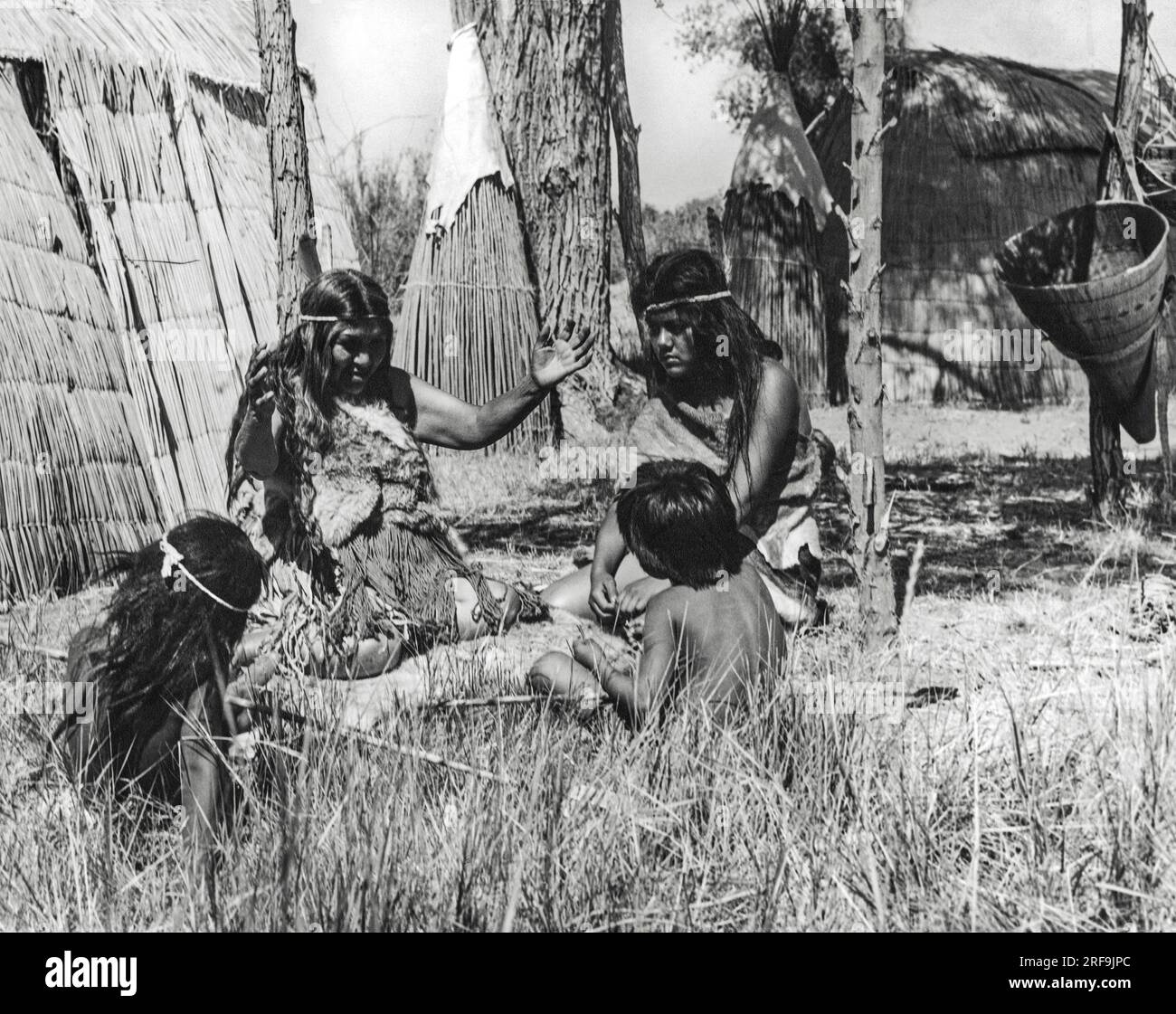 Culture e aree culturali dei Nativi Nord Americani, gli