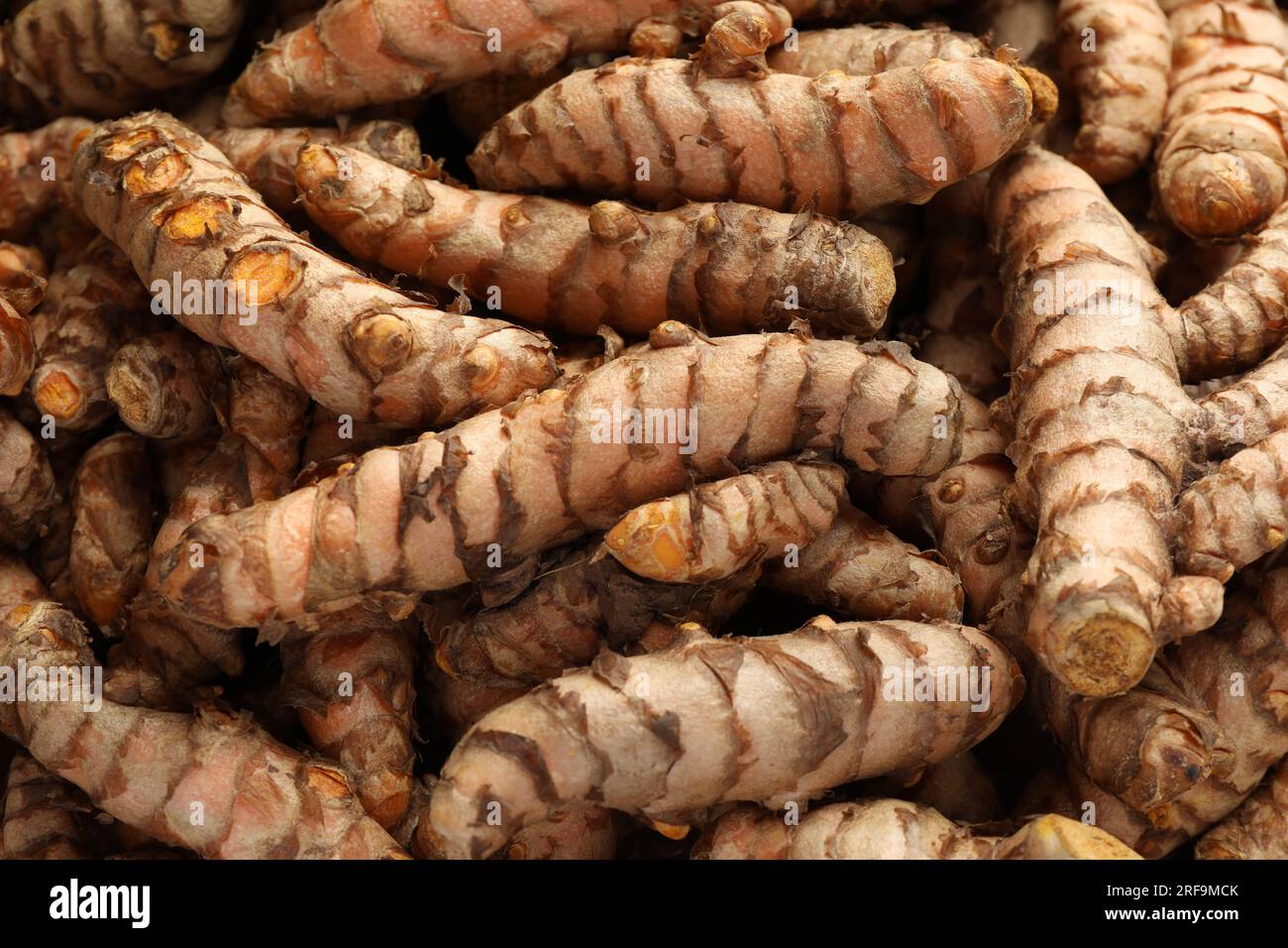 Molti rizomi curcumi crudi come sfondo e primo piano Foto Stock