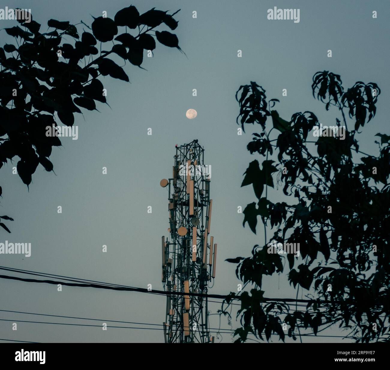 Cattura unica: Luna piena mattutina arroccata sulla cima di una torre di rete nella pittoresca Uttarakhand, India. Foto Stock