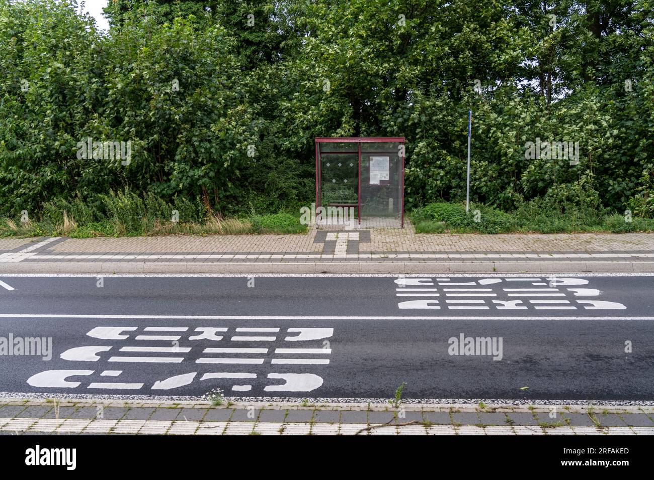 Riparo autobus, fermata Schalloh, in campagna, Sauerland, vicino a Soest-Bergede, Strada di campagna L856, linea di autobus 552, con 2 fermate al giorno, da lunedì a venerdì Foto Stock