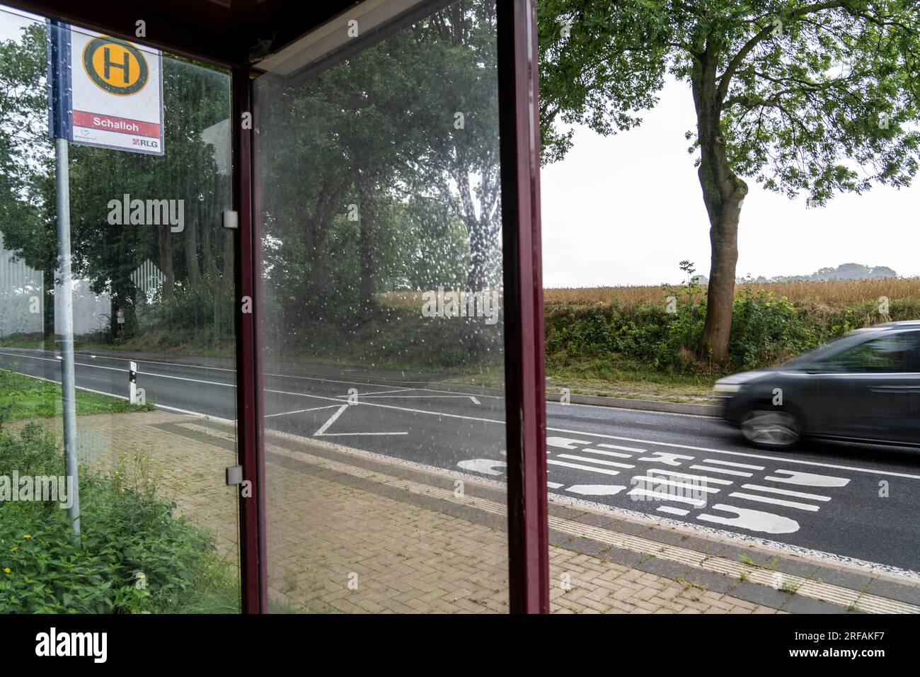 Riparo autobus, fermata Schalloh, in campagna, Sauerland, vicino a Soest-Bergede, Strada di campagna L856, linea di autobus 552, con 2 fermate al giorno, da lunedì a venerdì Foto Stock