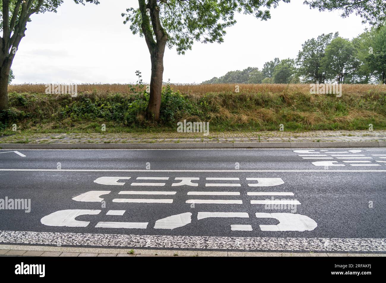 Riparo autobus, fermata Schalloh, in campagna, Sauerland, vicino a Soest-Bergede, Strada di campagna L856, linea di autobus 552, con 2 fermate al giorno, da lunedì a venerdì Foto Stock