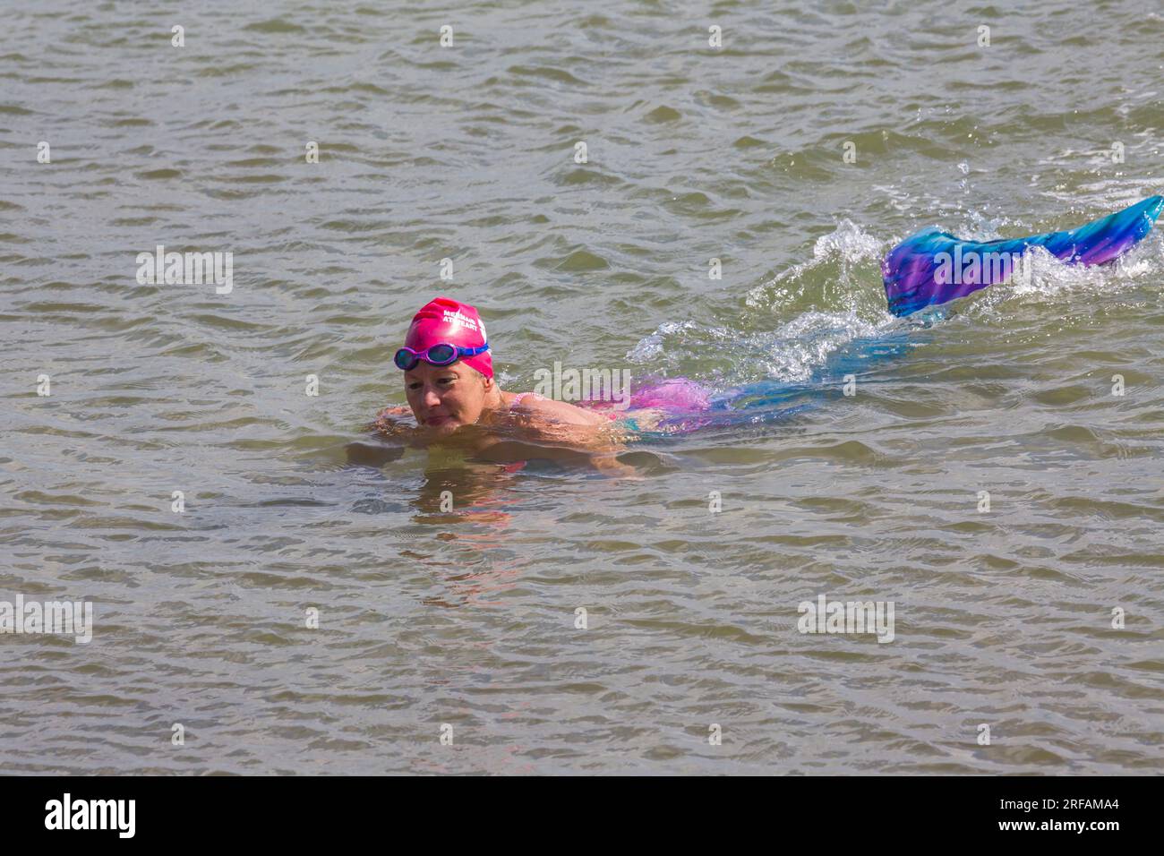 Sirenetta in mare a Swanage, Dorset, Regno Unito, a luglio Foto Stock