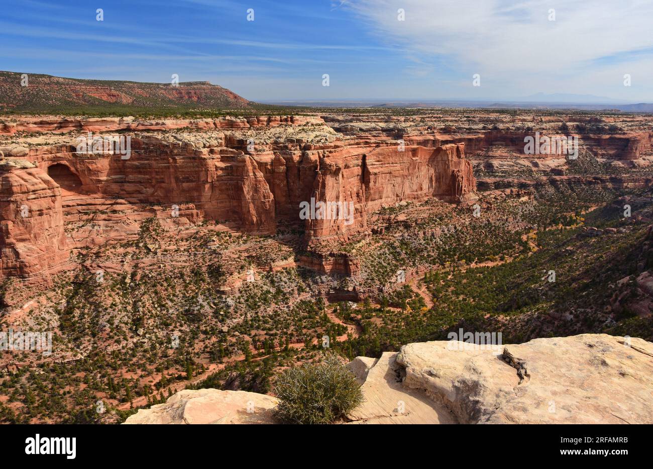 punto di osservazione sulle spettacolari pareti di roccia del canyon ad arco nel cedro nord-est di mesa, vicino a blanding, utah Foto Stock