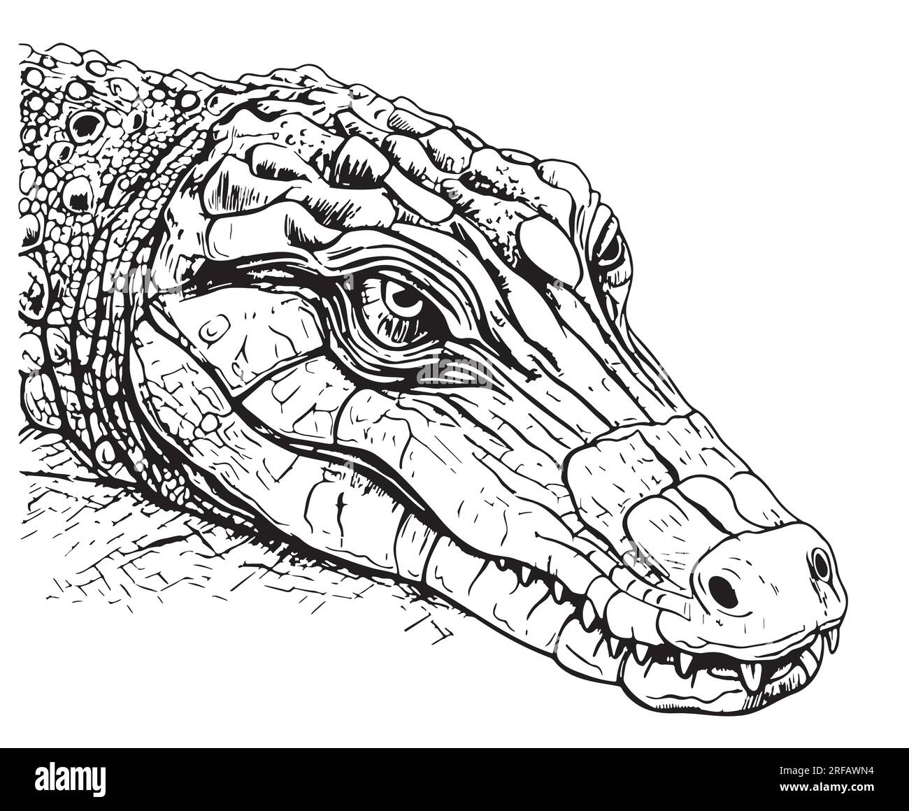 Schizzo faccia coccodrillo rettile disegnato a mano vettore Illustrazione Vettoriale