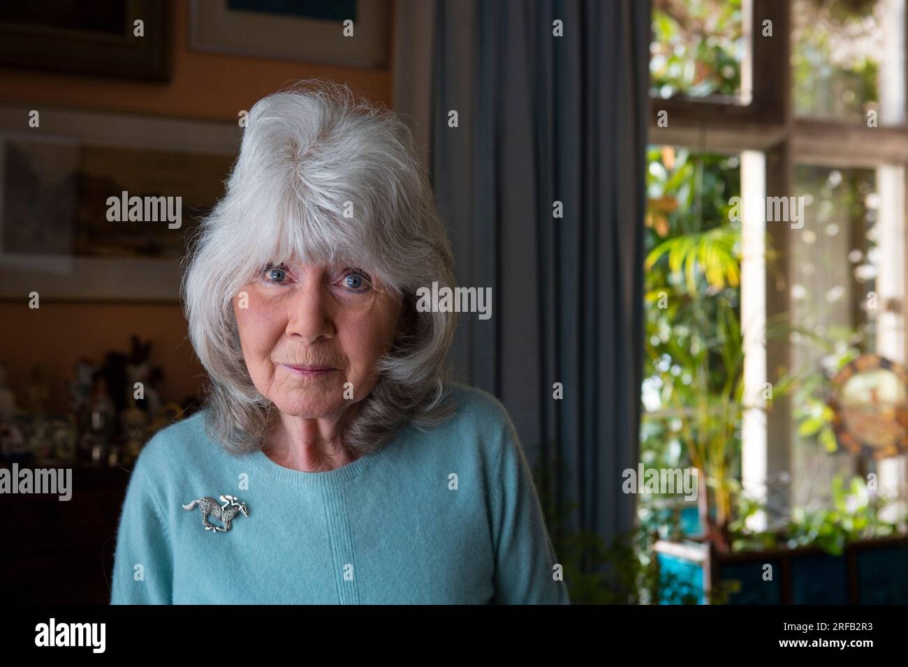 Ritratto dell'autrice Jilly Cooper nella sua casa nel Gloucestershire, è stata premiata con un CBE nella lista degli onori di Capodanno del 2018. Foto Stock