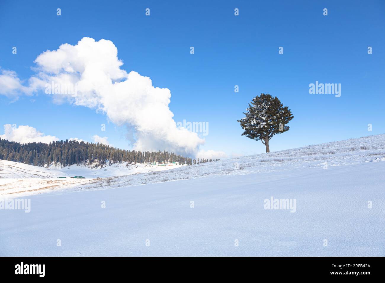 Gulmarg: Dove la magia dell'inverno ricopre la terra di bianco. Foto Stock