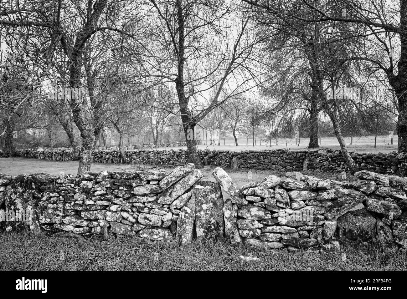 Tradizionale muro di pietra a Vila Cha da Braciosa. Miranda do Douro, Tras-os-Montes. Portogallo Foto Stock