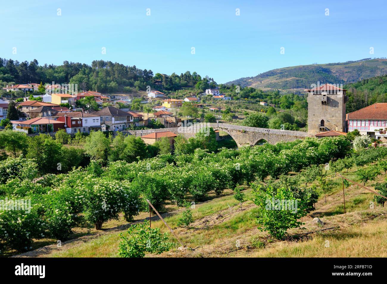 Il ponte medievale di Ucanha, risalente al XII secolo, sul fiume Varosa. La Torre in uno degli ingressi fu la prima nel paese Foto Stock