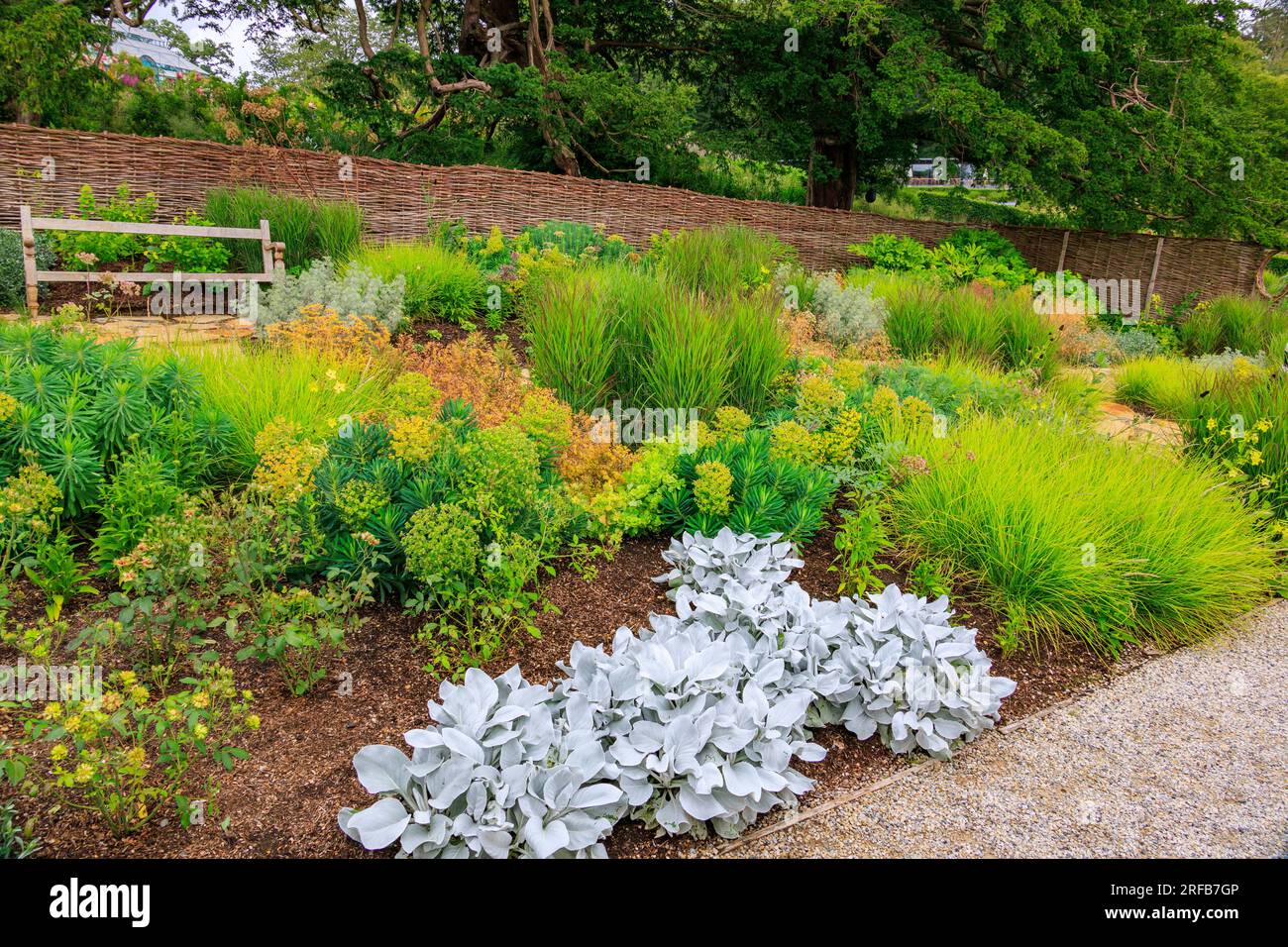 Il Green Garden è uno dei Colour Gardens del 'The Newt in Somerset', nr Bruton, Inghilterra, Regno Unito Foto Stock