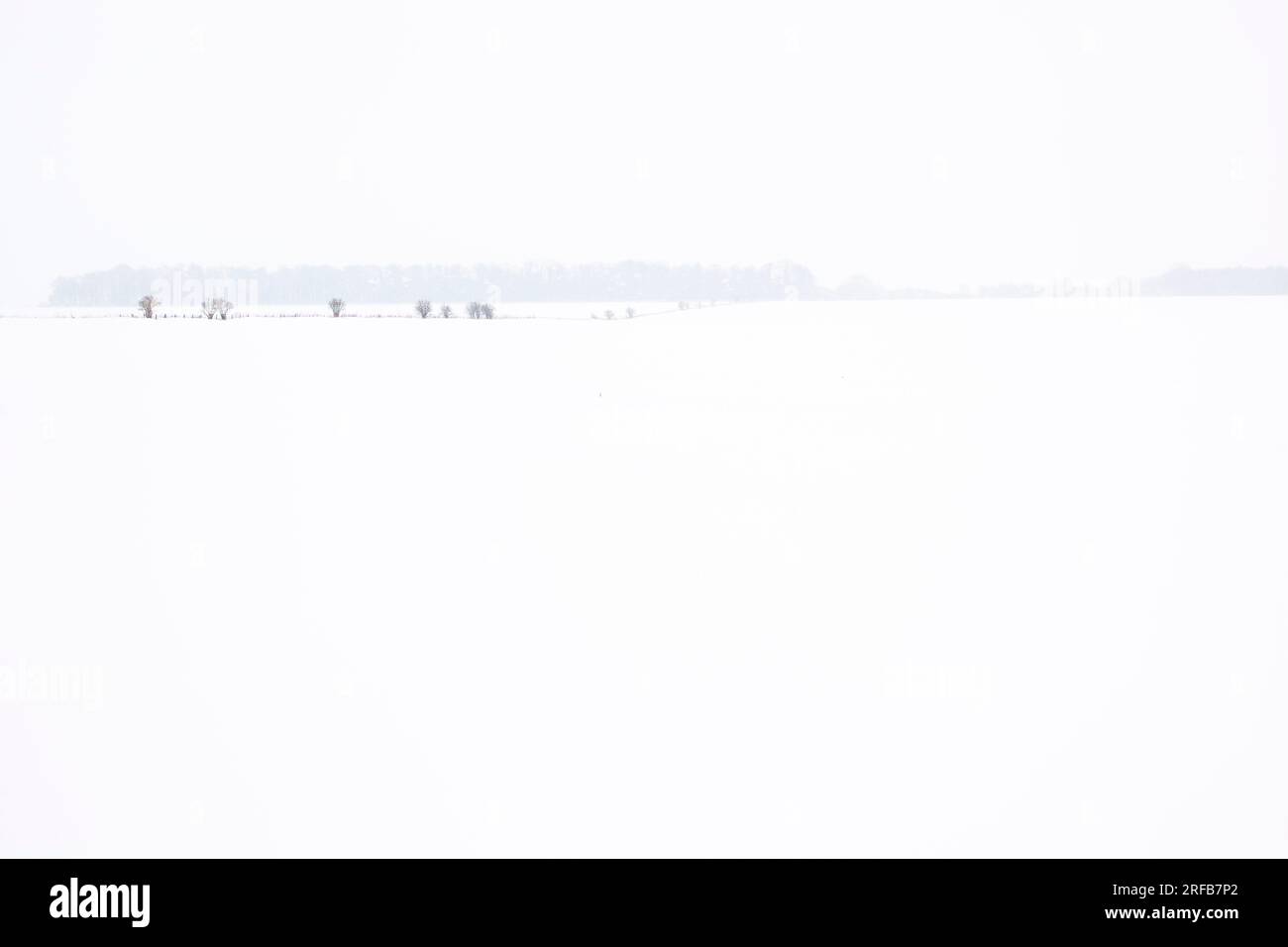 Campi coperti di uno strato di neve in questo fosco panorama inverni con debole grumi di alberi e linee di hedge shwoing attraverso la campagna congelati. Foto Stock