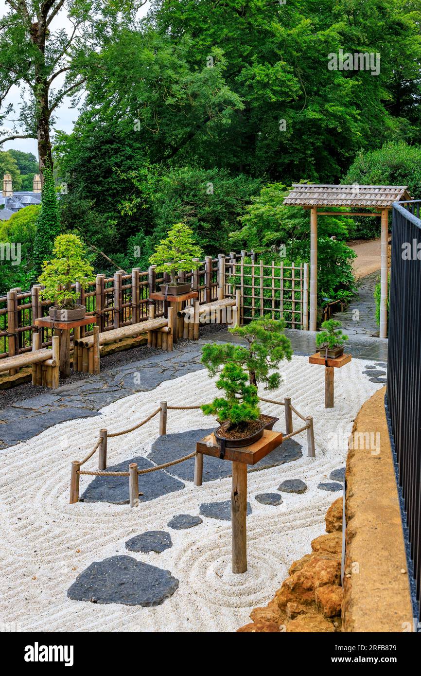 Il colorato giardino giapponese con alberi bonsai di diverse dimensioni e ghiaia rastrellata al "The Newt in Somerset", nr Bruton, Inghilterra, Regno Unito Foto Stock