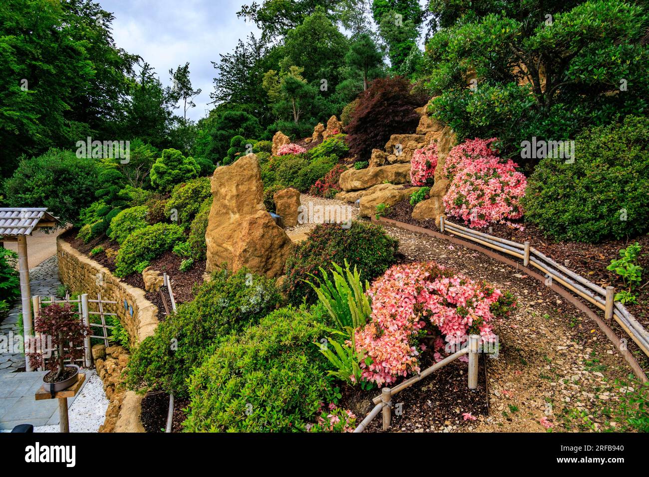 Il colorato giardino giapponese con alberi bonsai di diverse dimensioni e ghiaia rastrellata al "The Newt in Somerset", nr Bruton, Inghilterra, Regno Unito Foto Stock