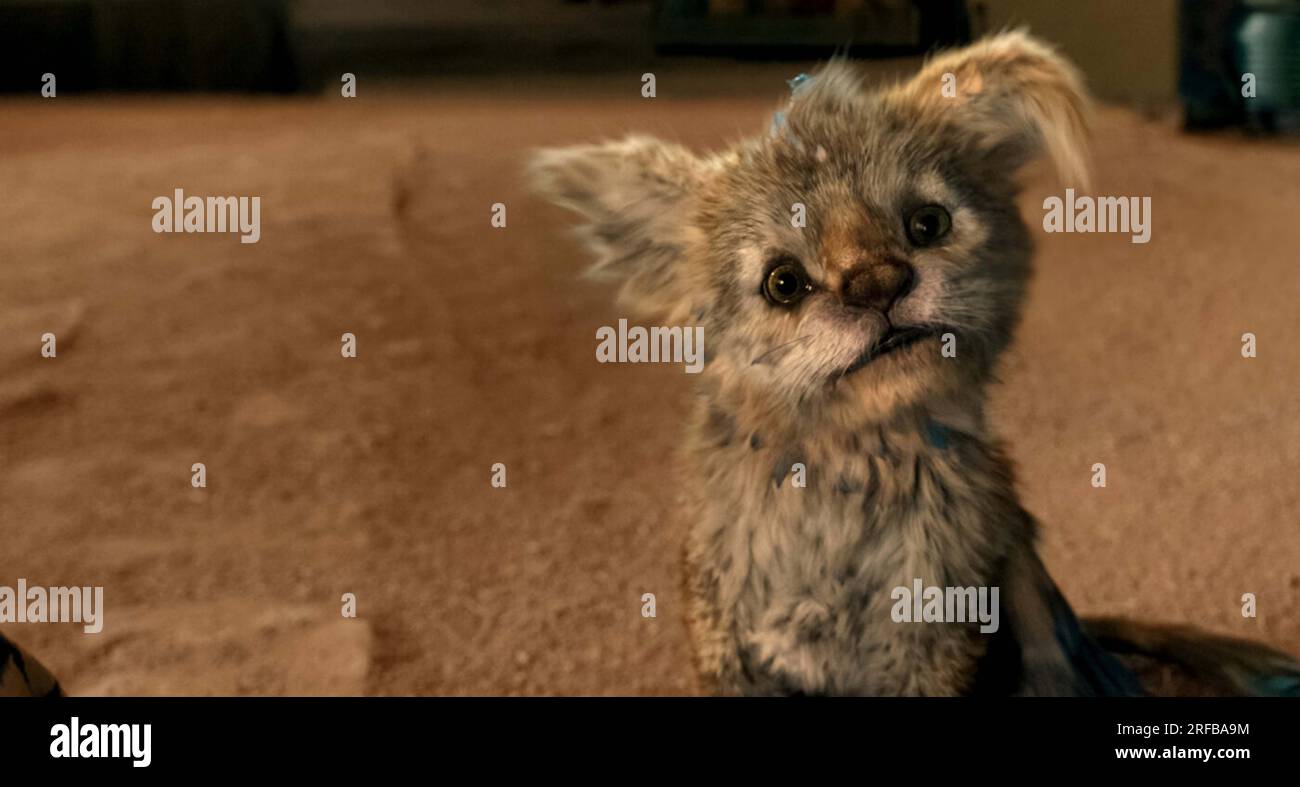 CHUPA (2023) JONAS CUARON (DIR) NETFLIX/MOVIESTORE COLLECTION Foto Stock