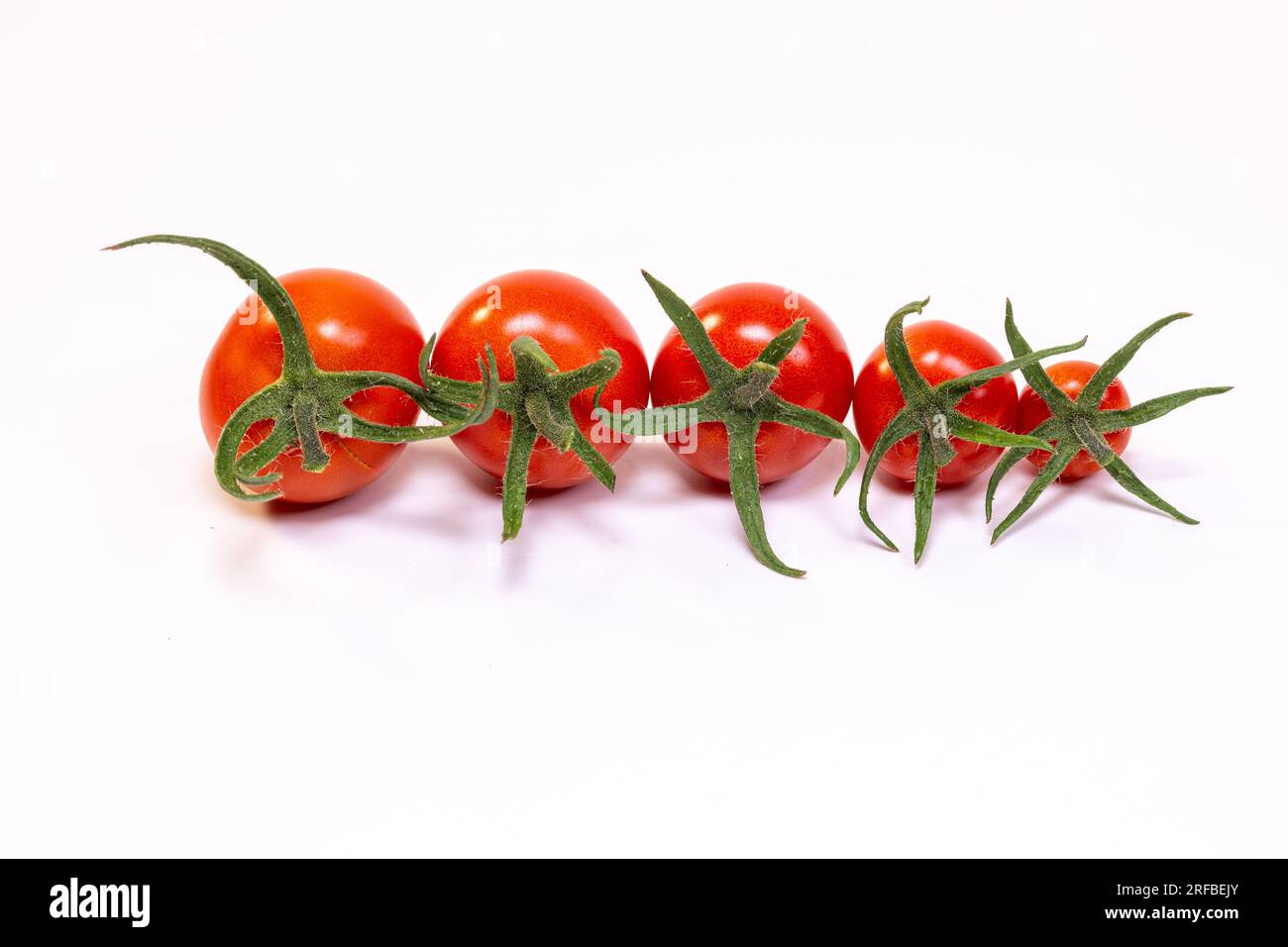 Pomodori rossi di diverse dimensioni in fila isolati su fondo bianco. Pomodori con percorso di taglio. Foto Stock