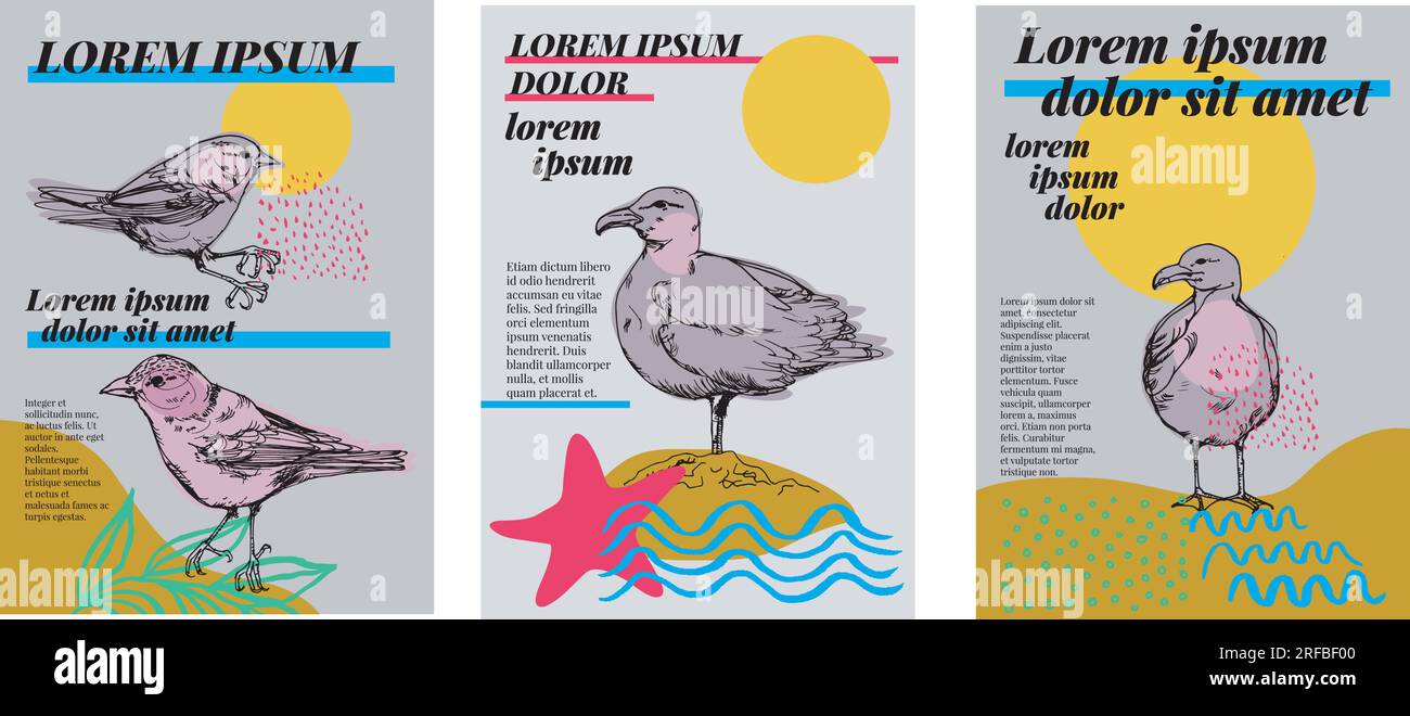 Uccelli. Set di poster vettoriali con uccelli. Disegna con illustrazione per l'estate, gabbiani, stelle marine, onde... Immagini di sfondo per copertina, banner, poster Illustrazione Vettoriale