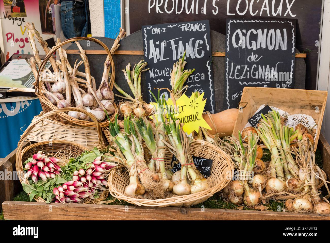 Esposizione di aglio e cipolla presso il negozio di verdure, Marsiglia, Herault, Occitanie, Francia Foto Stock