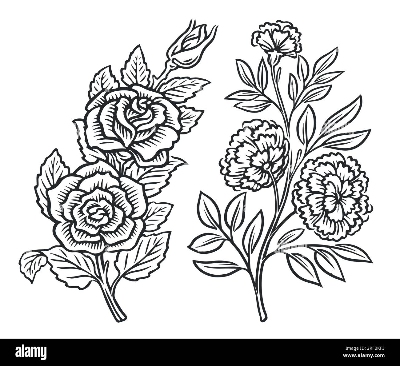 Set ramoscelli di fiori. Fiori selvatici, rose con foglie disegnate in stile schizzo. Illustrazione vettoriale vintage con motivo floreale Illustrazione Vettoriale