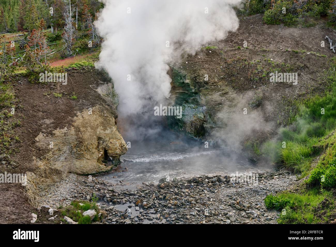 Dragon's Mouth Spring, Mud Volcano area, Yellowstone National Park, Wyoming, Stati Uniti d'America Foto Stock