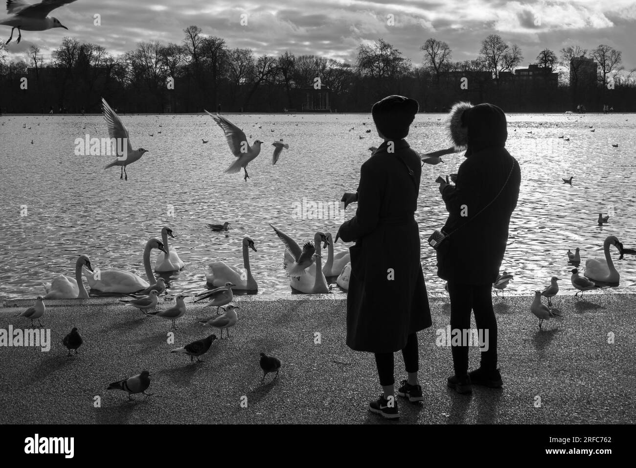 Nutrire uccelli e uccelli selvatici sul Round Pond a Kensington Gardens, Londra, Inghilterra, Regno Unito, Europa Foto Stock