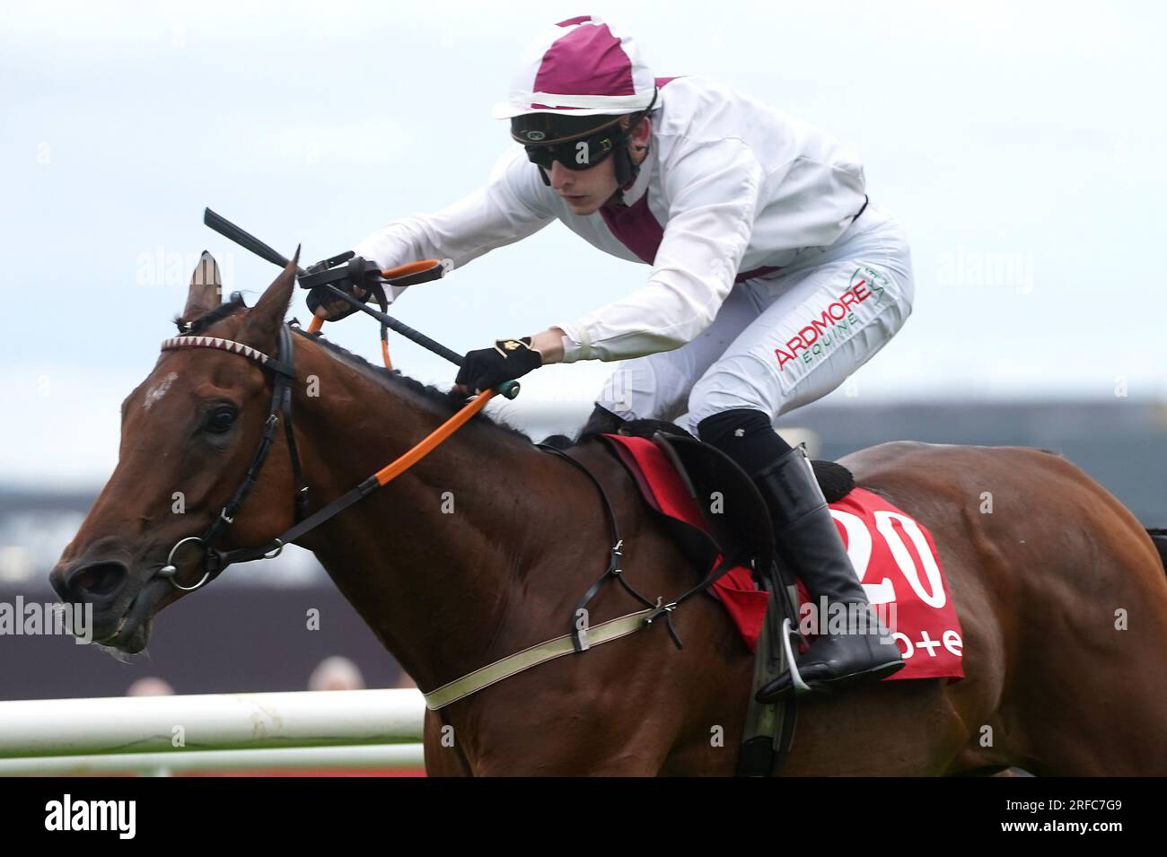 Minella Mate guidata dal fantino John Gleeson vince la tote, ovvero mai battuta da SP (Q.R.) Inaugurazione durante il terzo giorno del Galway Races Summer Festival all'ippodromo di Galway. Data foto: Mercoledì 2 agosto 2023. Foto Stock