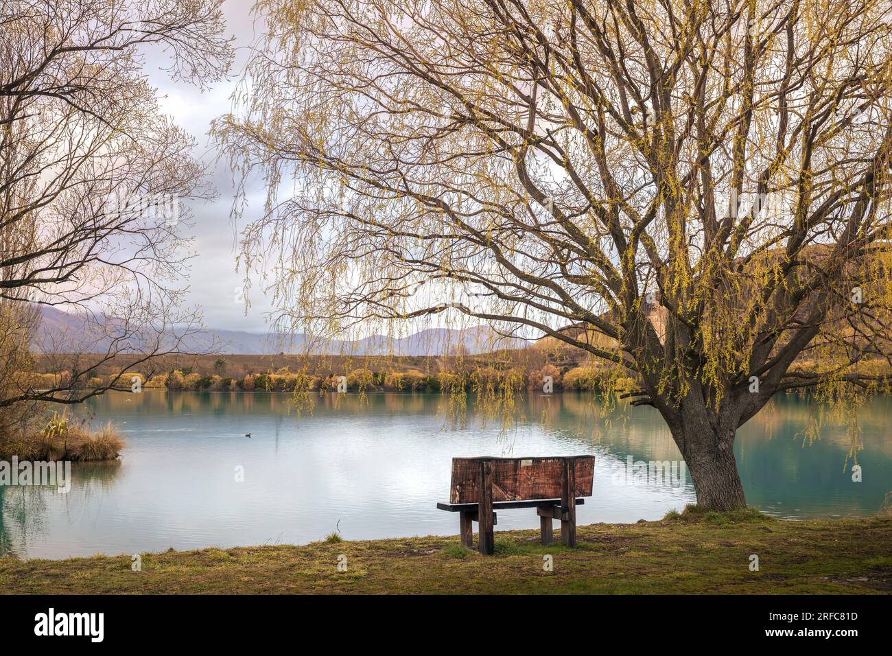 Panchina pubblica tra gli alberi affacciata su un lago. Foto Stock
