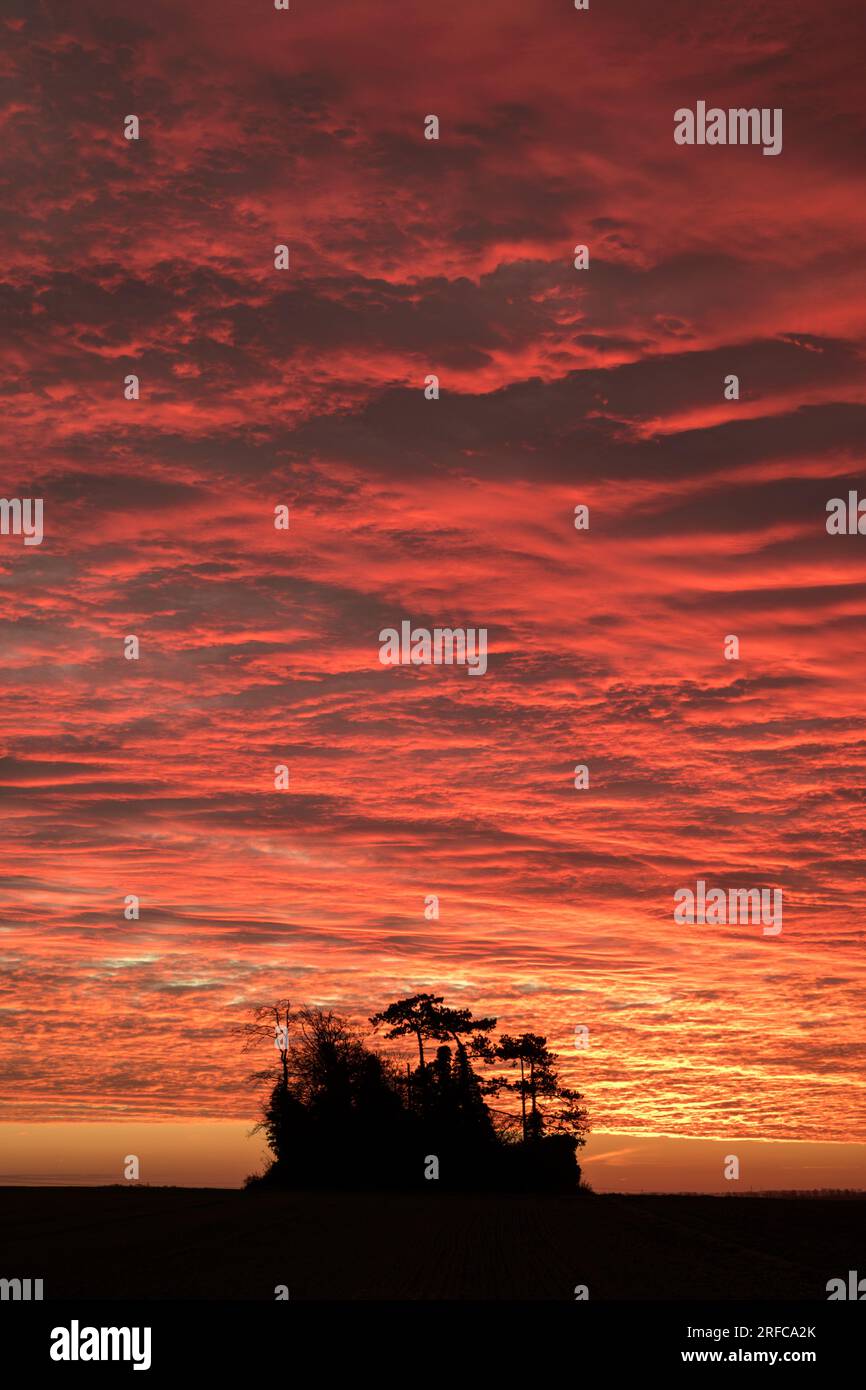 Alba su Fields Stapleford, Cambridgeshire Foto Stock