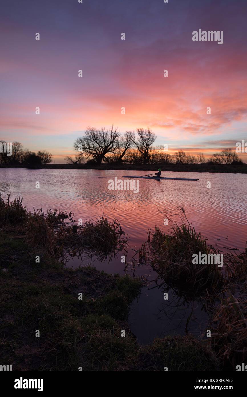 Vogare all'alba sul fiume Great Ouse a Ely, Cambridgeshire Foto Stock