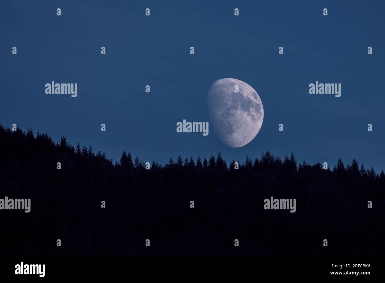 bella mezzaluna nel cielo notturno limpido con sagome di alberi sulle montagne Foto Stock