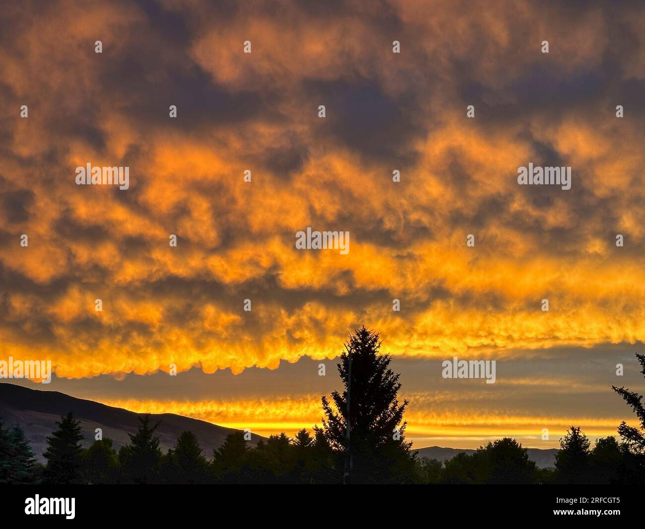 Le nuvole di arancio infuocano su Cody, Wyoming, e sui fianchi della montagna subito dopo il tramonto di luglio. Una silhouette di pino è qui sotto. Le nuvole sembrano onde. Foto Stock