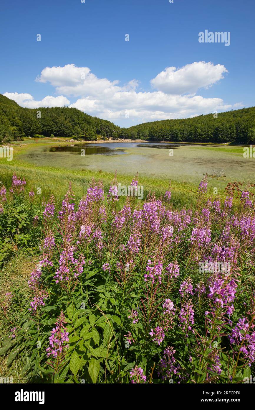 Lago di Baccio nell'Appennino Toscano Emiliano, Italia Foto Stock