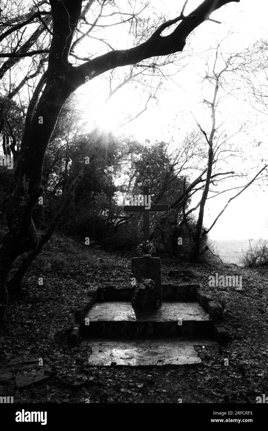 Markov Hrib, Capodistria, Slovenija Foto Stock