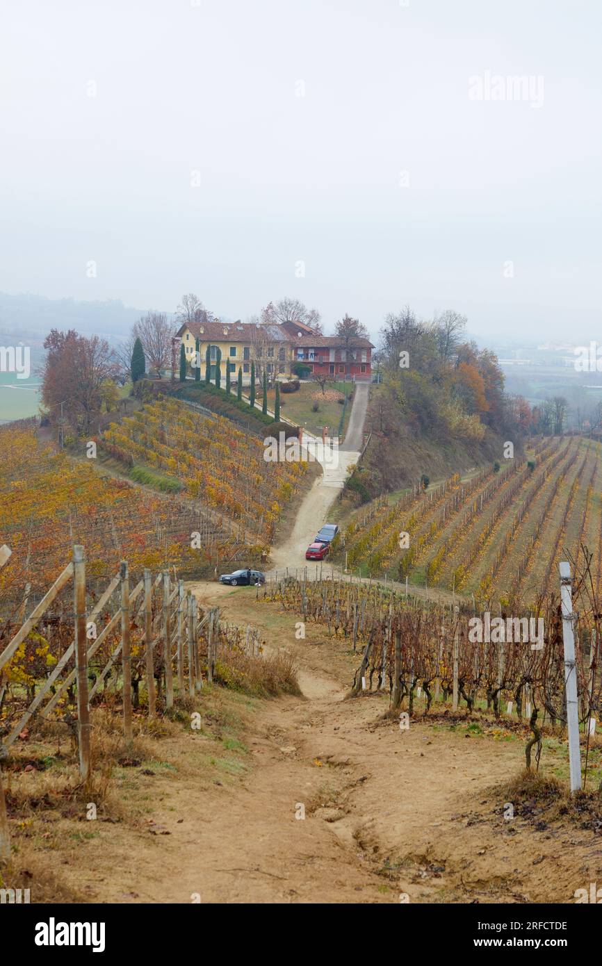 Paesaggio autunnale delle Langhe con le sue caratteristiche vigne, Pidmont, Italia Foto Stock