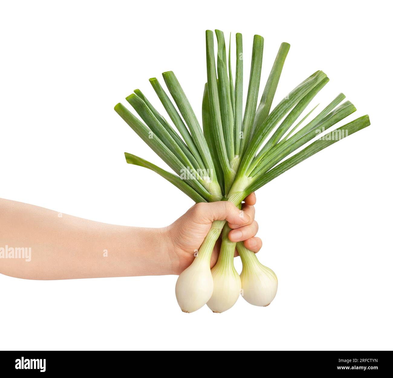 cipolla giovane in mano percorso isolato su bianco Foto Stock