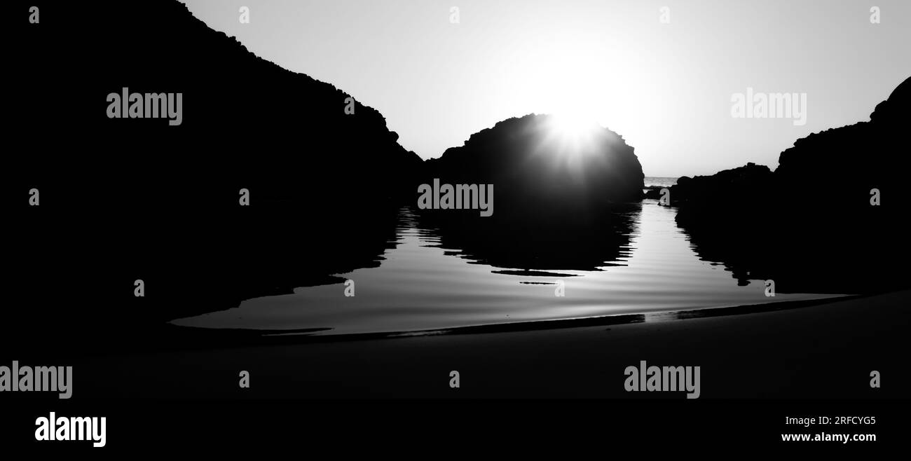 Foto artistiche in bianco e nero della natura Foto Stock