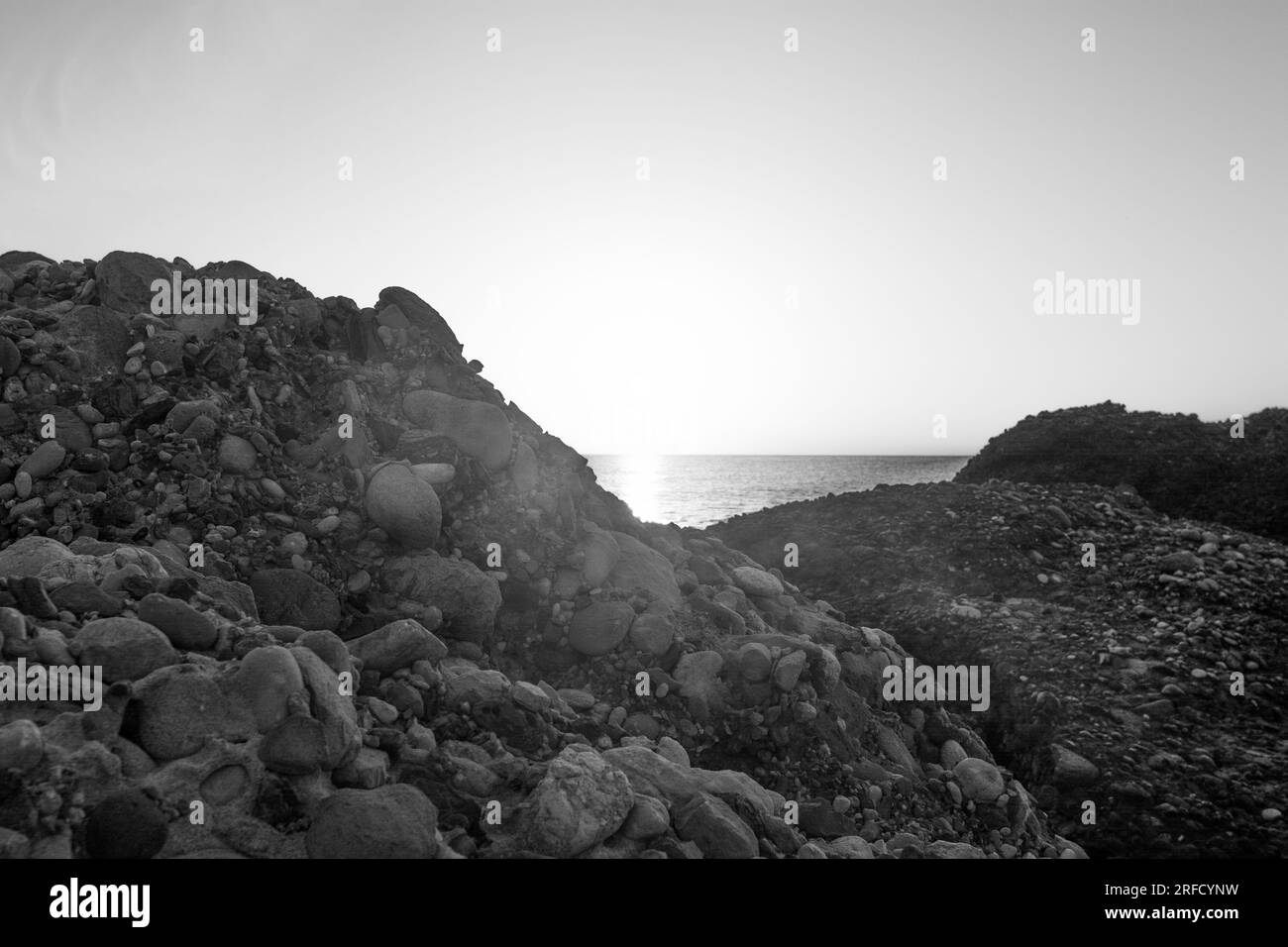 Foto artistiche in bianco e nero della natura Foto Stock