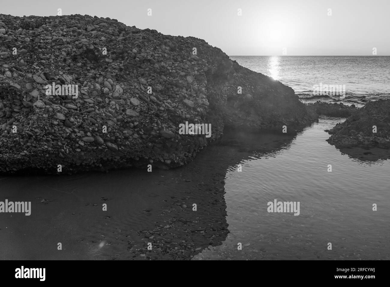 Foto artistiche in bianco e nero della natura Foto Stock