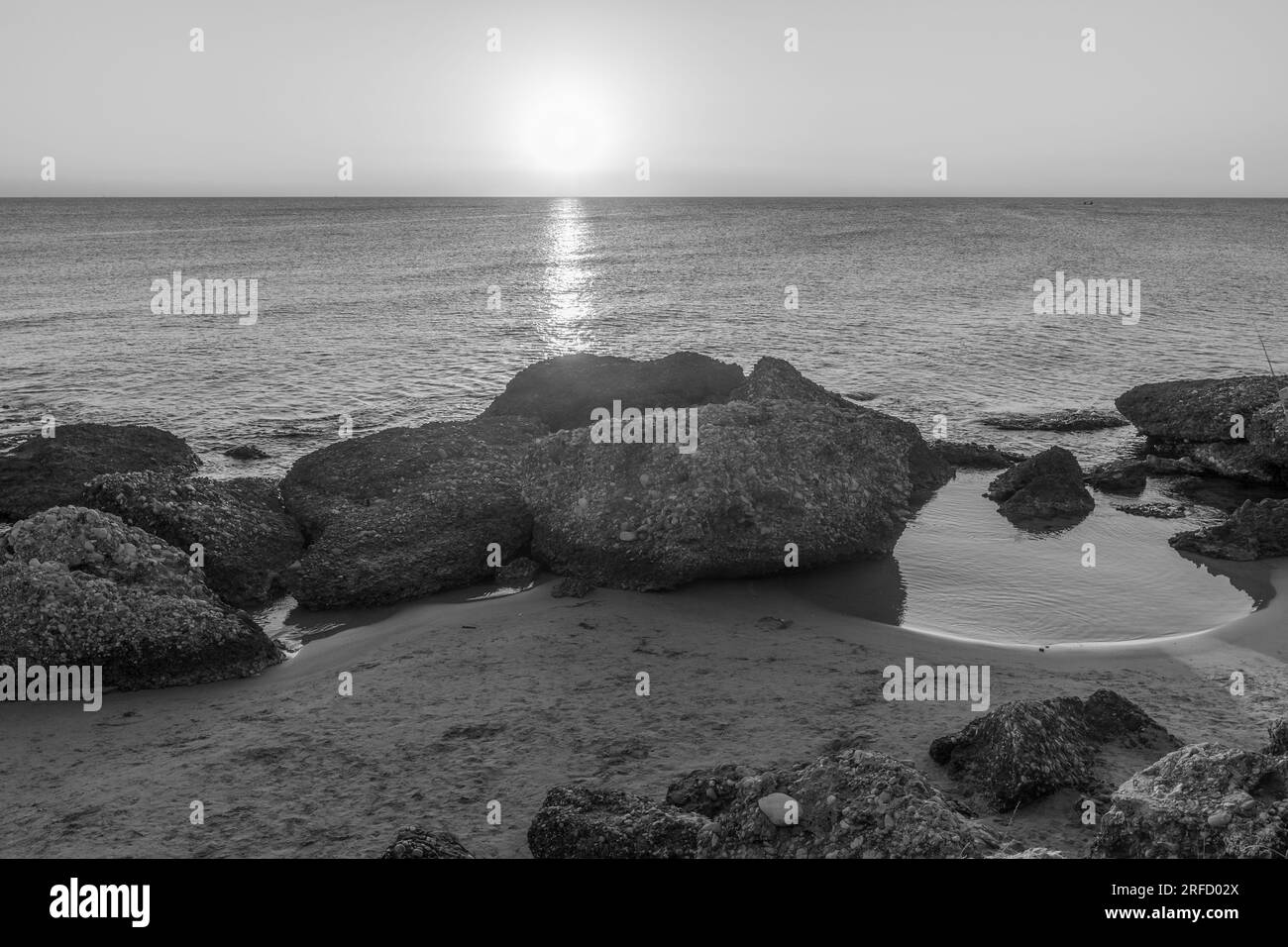 Foto artistiche in bianco e nero della natura Foto Stock