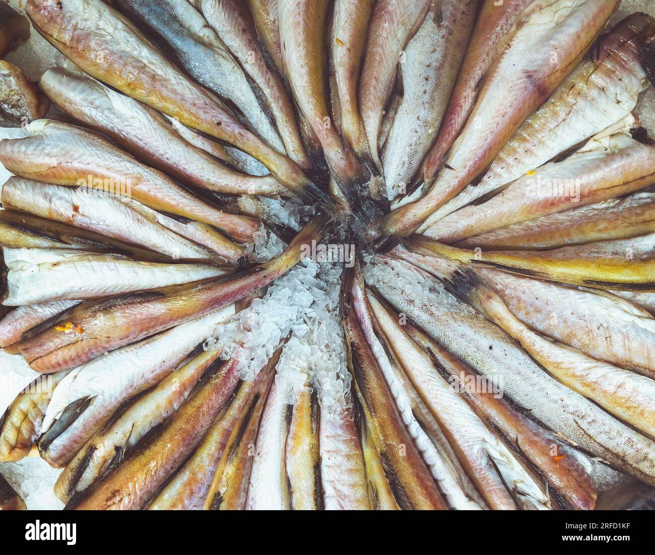Pesce di mare appena pescato nel mercato Foto Stock