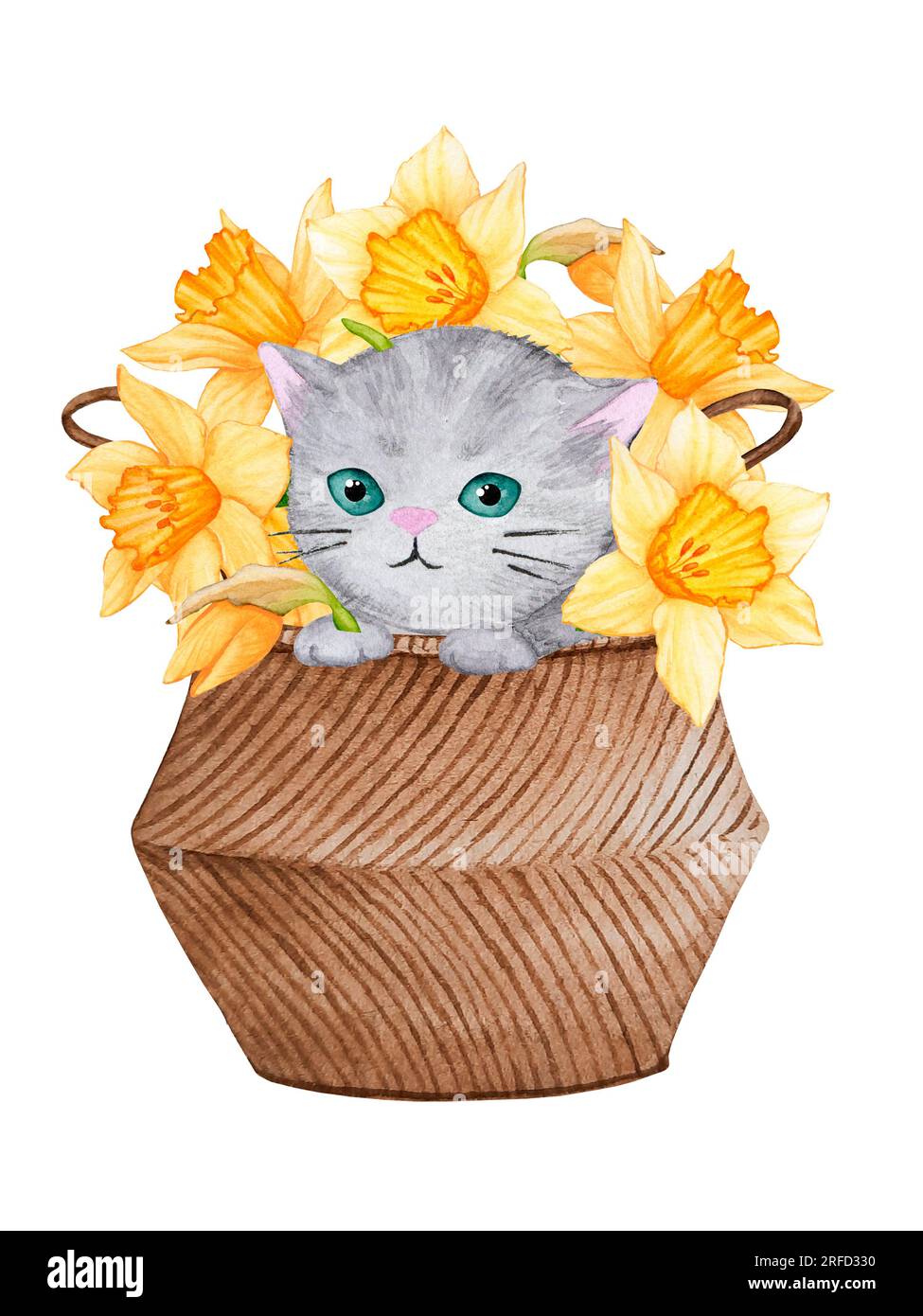 Gatto grigio soffice in un cesto con narcisi di fiori. Simpatica illustrazione ad acquerello sul tema degli animali domestici. Design pronto all'uso per poster, cartoline, inviti Foto Stock