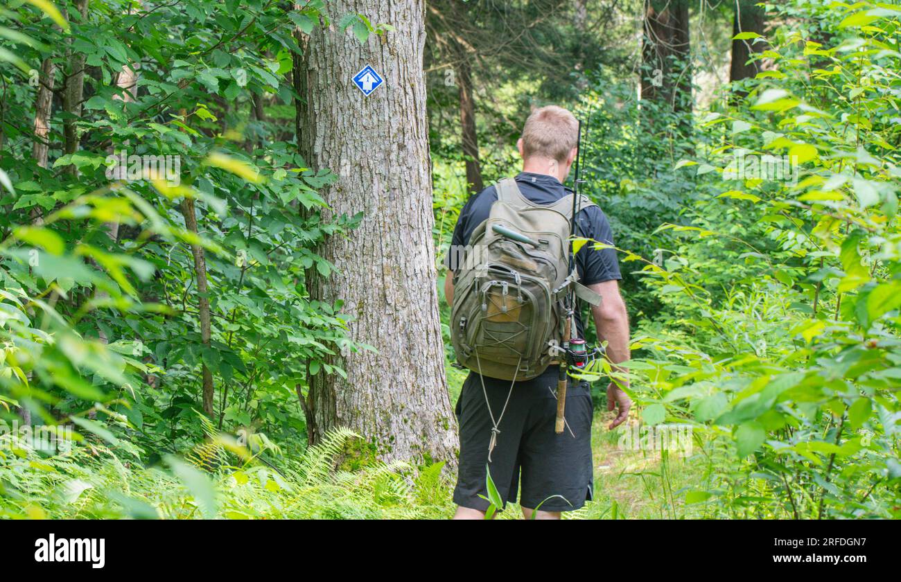 Escursionista su un sentiero boschivo, cartelli, sfondo naturale immagine spazio copia, stile di vita attivo Foto Stock