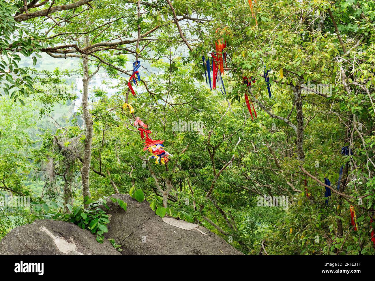 Nastri sugli alberi presso il santuario in cima alla collina a Wat Khao Tabaek a Chonburi, Thailandia. I nastri sono portati dai visitatori che li acquistano all'entrata del tempio Foto Stock