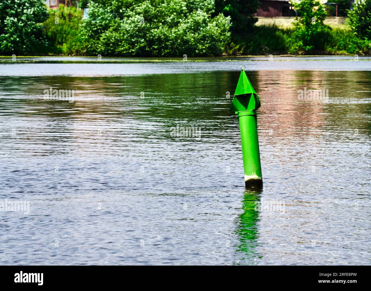 Boa verde fluttuante nell'Elba Foto Stock