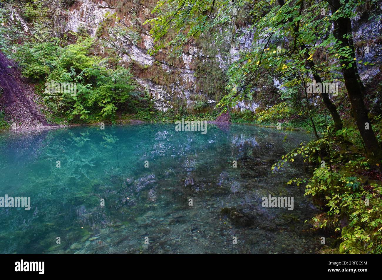 Splendida vista di Divje jezero o del lago selvaggio vicino a Idrija a Primorska, Slovenia Foto Stock