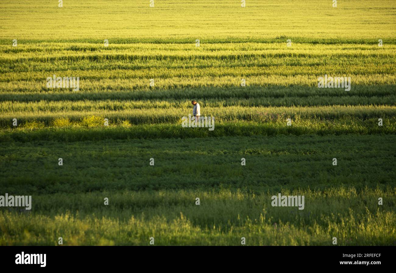 un contadino cammina nella sua fattoria Foto Stock