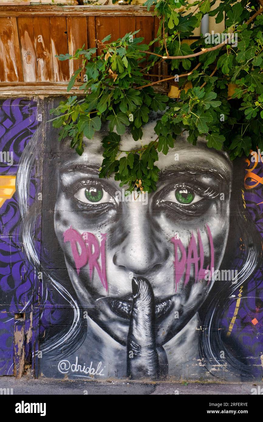 Spagna, Valencia, barrio del Carmen, arte di strada Foto Stock